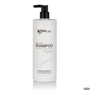 (500) PERFECT (shampoo) _,, . (,)500TMChoco - -   " " 